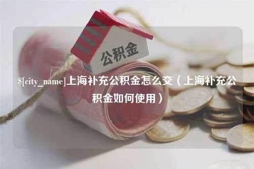 孝昌上海补充公积金怎么交（上海补充公积金如何使用）